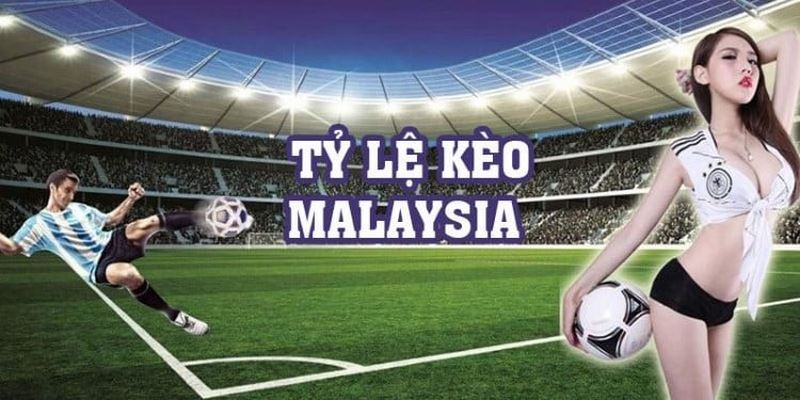 Cách xem tỷ lệ kèo cược Malaysia đơn giản