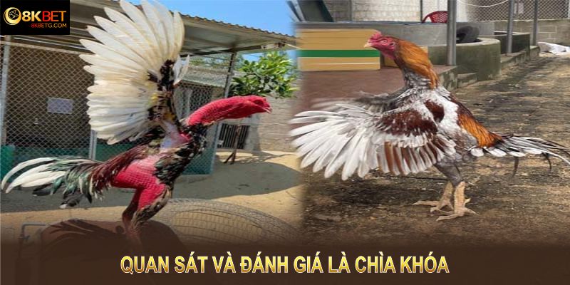 Sự đầu tư khôn ngoan ban đầu sẽ mang lại giá trị bền vững